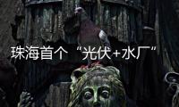 珠海首个“光伏+水厂”并网发电
，打造绿色低碳新标杆