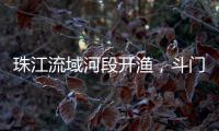 珠江流域河段开渔
，斗门河鲜抢“鲜”上市