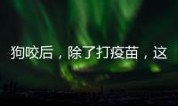 快排公司十年历程，霸屏兔 seo 的崛起与坚守