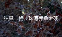 独具一格｜珠海养鱼太硬核
！CGTN记者直呼Amazing�！
