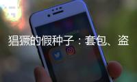 猖獗的假种子

：套包	、盗取、打假