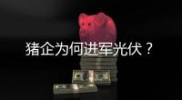猪企为何进军光伏
？
