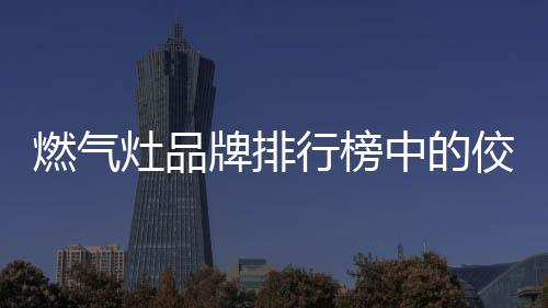 更了解国人的牌排烹饪需求