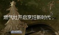 燃气灶开启烹饪新时代，丰蓝1号燃气灶电池赋能美味佳肴