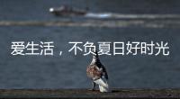 爱生活，不负夏日好时光 阿尔贝娜艺术漆助你演绎别样的夏日style