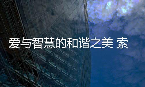 积极开拓多元化销售渠道