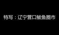 特写	：辽宁营口鲅鱼圈市民以积极心态面对疫情
