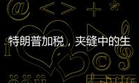 特朗普加税，夹缝中的生意人怎么办？