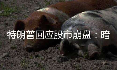 AJ贝尔公司分析师估计