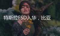 特斯拉FSD入华，比亚迪发狠
：车界战争“卷”到了智驾