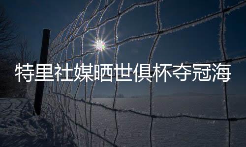 祝贺切尔西名宿、特里