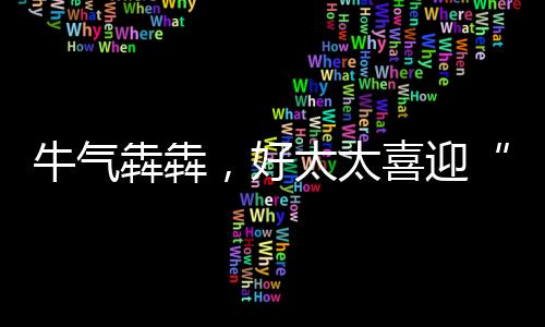 好太绝缘保卫、太喜拒绝干扰