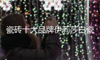 瓷砖十大品牌伊莉莎白瓷砖新品上市
，让空间更大气