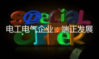 电工电气企业：端正发展态度 从长远角度出发