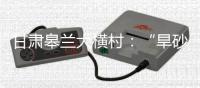 甘肃皋兰大横村：“旱砂”小麦助力村民增收致富