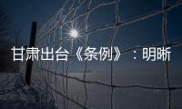 甘肃出台《条例》	：明晰“责任田” 防治校园暴力及“校闹”