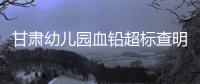 甘肃幼儿园血铅超标查明，后厨非法添加彩绘颜料｜周一健
