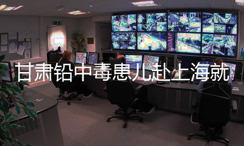 甘肃医疗保障及调查处置