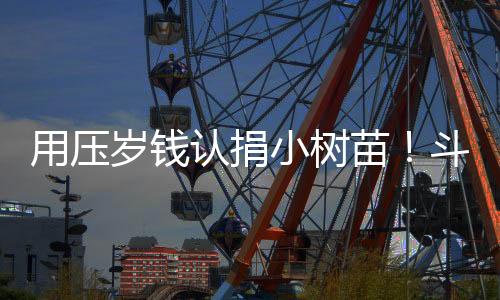 青少吸引了众多孩子和家长