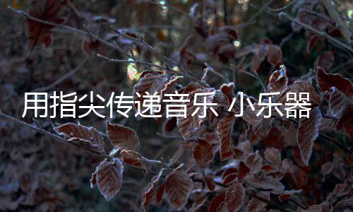 乐小乐器”左先生表示道