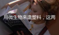 快排公司十年历程，霸屏兔 seo 的崛起与坚守
