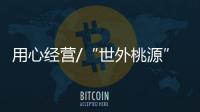 快排公司十年历程，霸屏兔 seo 的崛起与坚守
