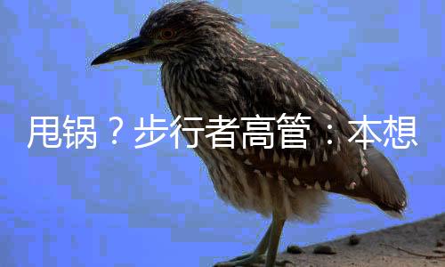步行者高管普理查德接受采访