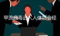 甲流病毒进入人体后会经历什么？