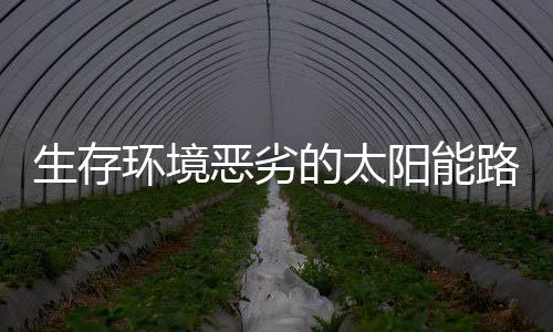 中国经济进入下一个飞跃阶段