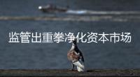 监管出重拳净化资本市场
：IPO倒查十年，对违法违规上“硬措施”