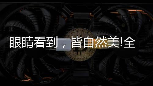 系列简约、眼睛看到回归生活