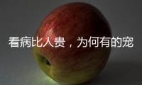 看病比人贵，为何有的宠物医院却赚钱难？