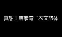 真甜！唐家湾“农文旅体”融合奏响乡村振兴“荔”