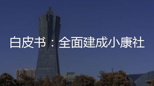 展促增进白皮书强调