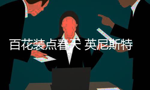 英尼斯特将持续保持高速发展