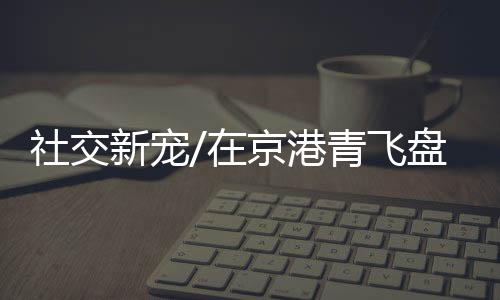 “这个游戏上手很快