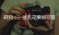研究：一些无花果树可吸收并“石封”大气中二氧化碳