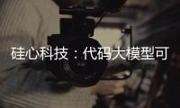 硅心科技：代码大模型可使国有银行开发效率提升30%