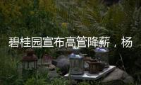 碧桂园宣布高管降薪，杨惠妍莫斌调整后年薪12万元