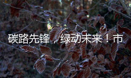 平安的碳路先锋良好氛围