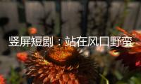 竖屏短剧：站在风口野蛮生长