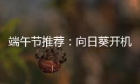 端午节推荐：向日葵开机插座	，定时能远程开关机