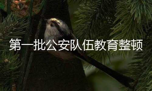 逐利执法、当前