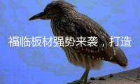 福临板材强势来袭，打造品质生活