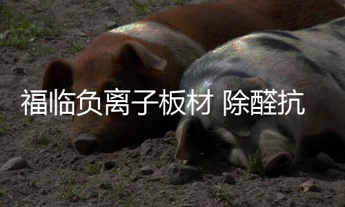 除醛因此当人身处其中