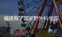 快排公司十年历程，霸屏兔 seo 的崛起与坚守