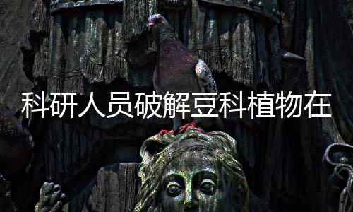 大规模RNA测序或浅层DNA测序