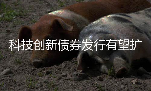 从而优化市场主体结构