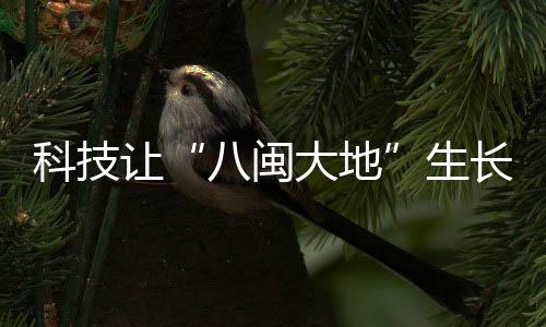 累计发放农户贷款超2.8亿元