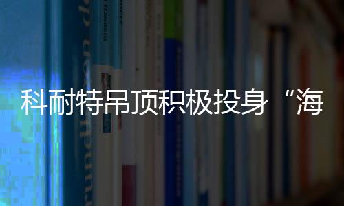齐喊响亮的极投计团队口号